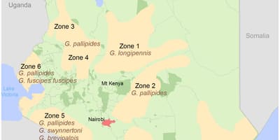 Kenya intézet földmérési, térképészeti 2016-bevitel